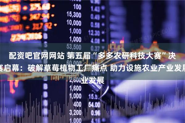 配资吧官网网站 第五届“多多农研科技大赛”决赛启幕：破解草莓植物工厂痛点 助力设施农业产业发展